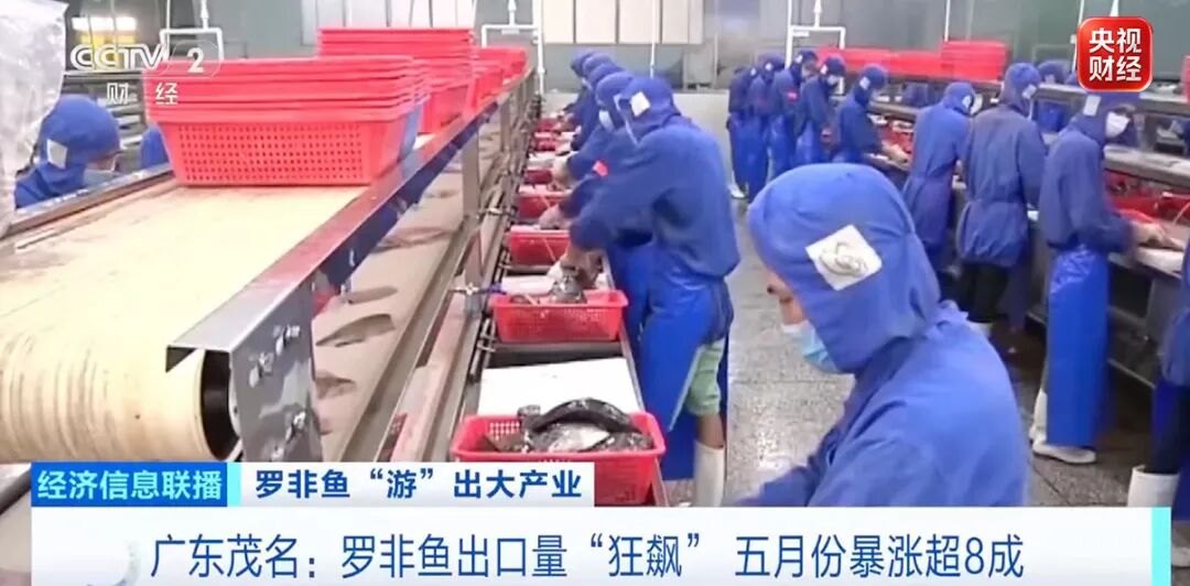 “边角料都是宝”！出口量“狂飙”！“游”出来的大产业火了